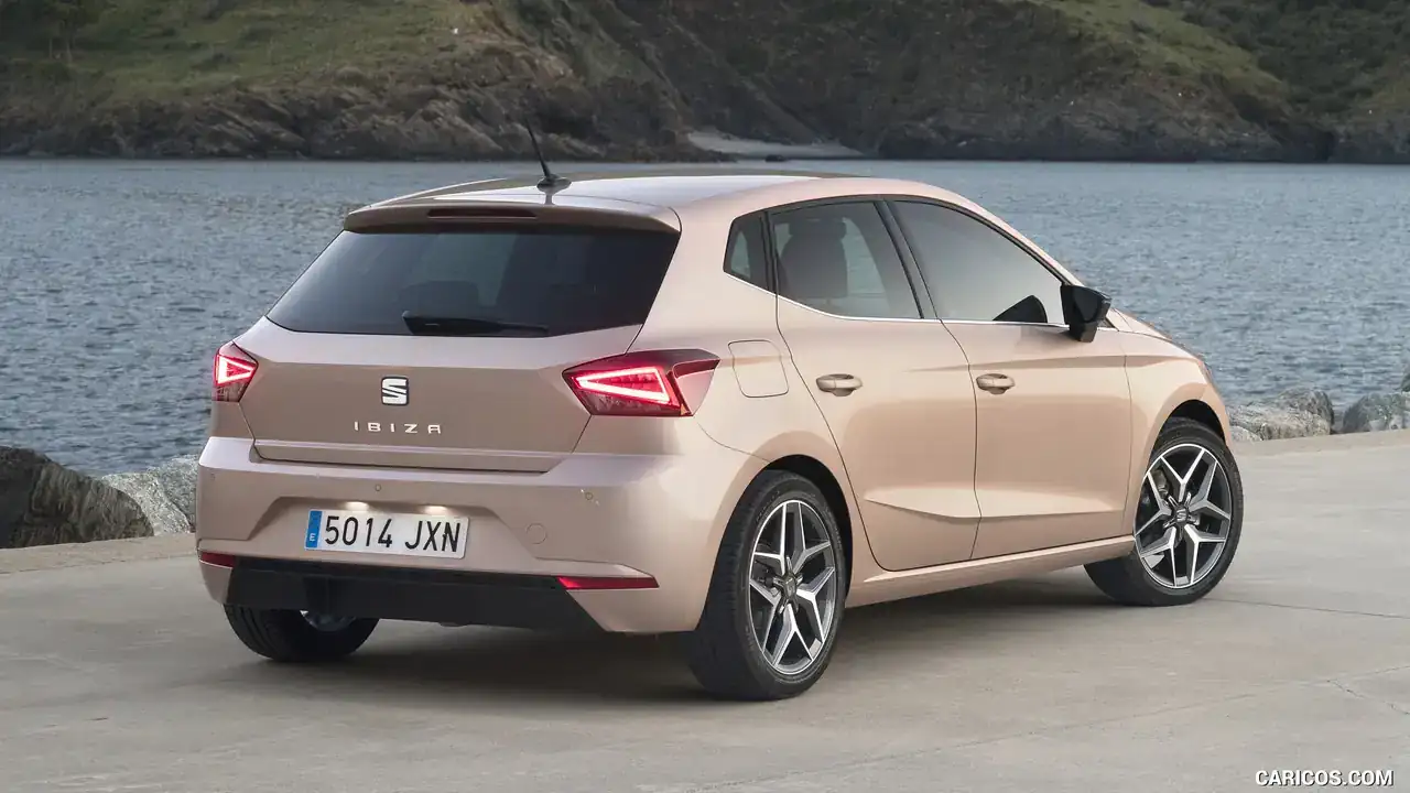 Seat Leon DSG Mekatronik Tamiri ve Kronik Sorunları